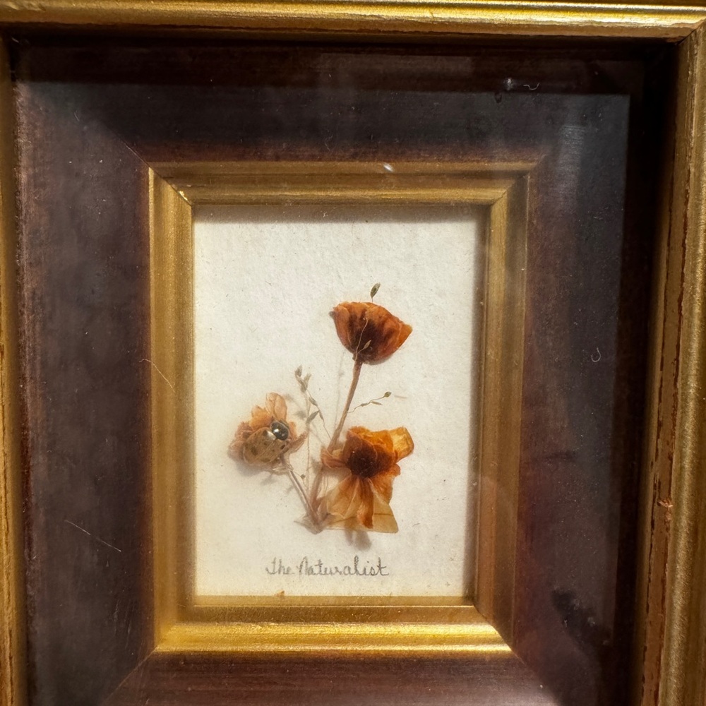 Vintage Framed Dried Flower Shadowbox EUC - Picture 4 of 10